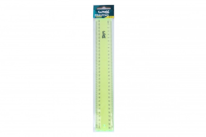 Neon Ruler 30 cm