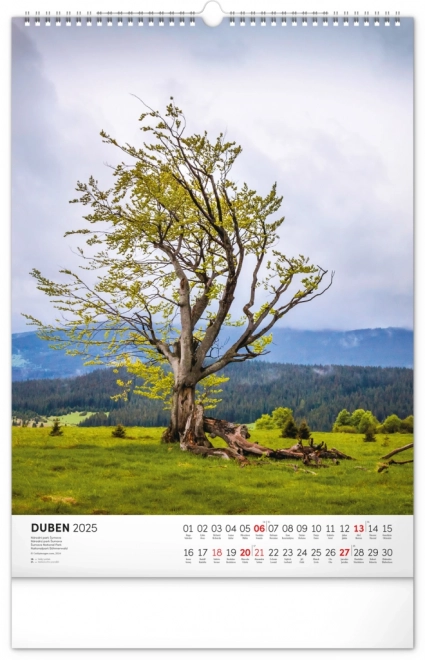 Wall Calendar National Parks of Czech and Moravia 2025