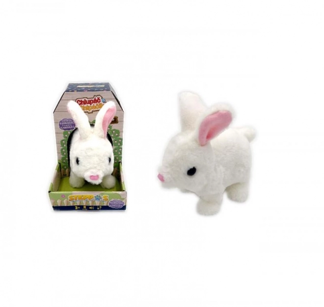 Battery Operated Bunny Toy