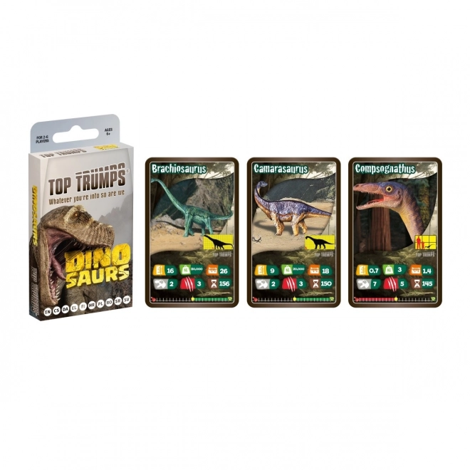 Dinosaur Card Game