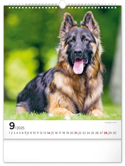 Notique Wall Calendar Dogs 2025