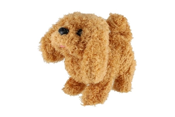 Walking and Barking Plush Dog Toy