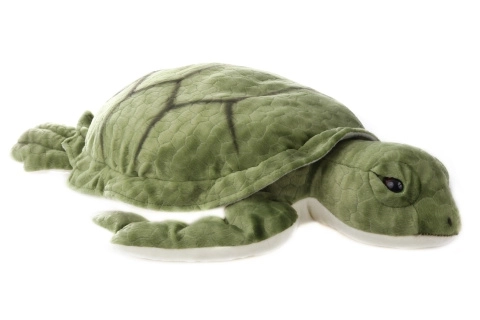 Large Plush Turtle 55 cm