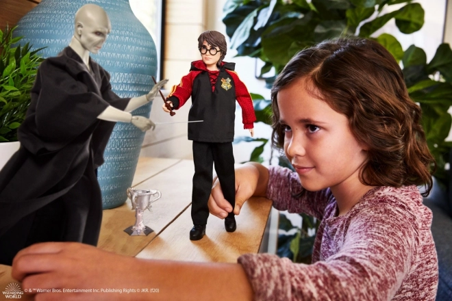 Harry Potter vs Voldemort Dolls 2-Pack