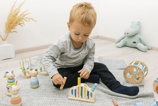 Wooden Pop-up Toy