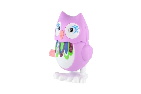 Colorful Wind-Up Owl Toy