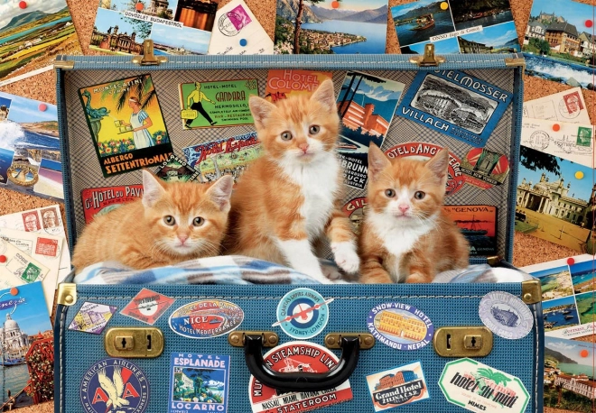 Wandering Kittens Puzzle 200 Pieces