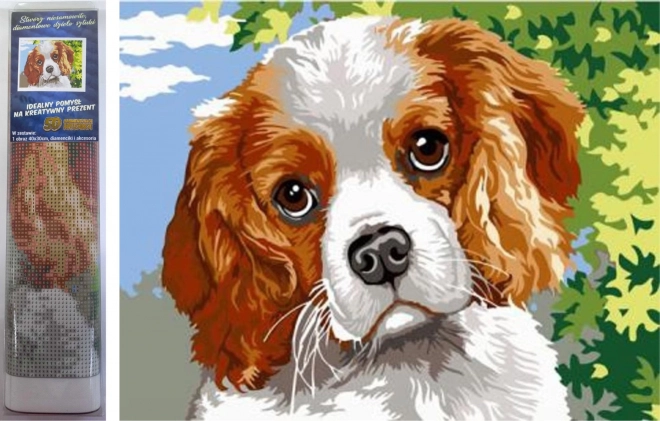 Diamond Painting Set - Dog Eyes 30x40cm