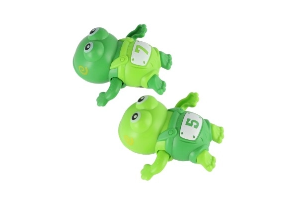 Pull-String Frog Bath Toy