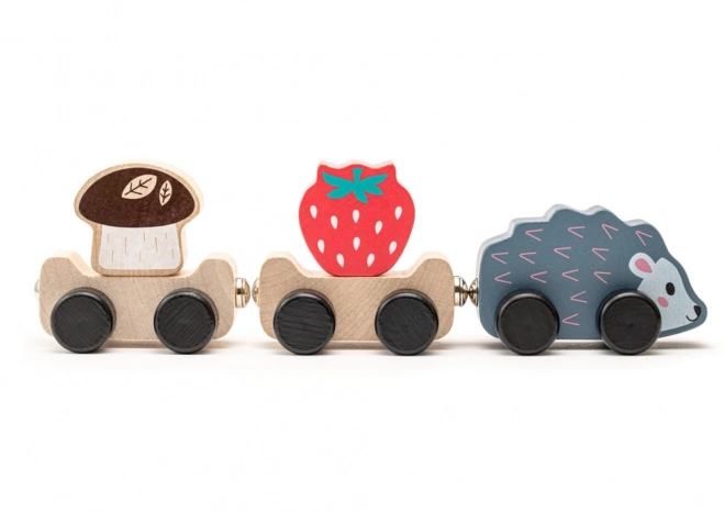 Wooden Toy Clever Hedgehog Train Strawberry Mushroom