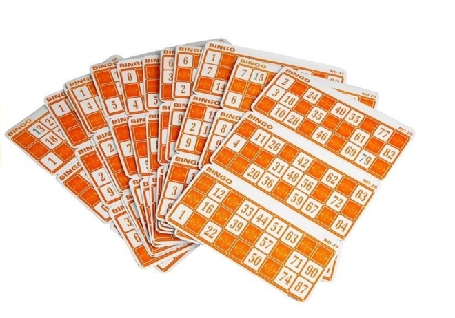 Educational Bingo Lotto Game with Lottery Machine