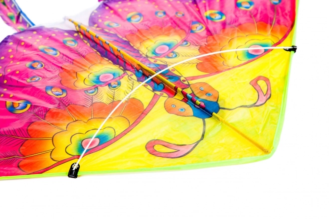 Large Purple Butterfly Kite