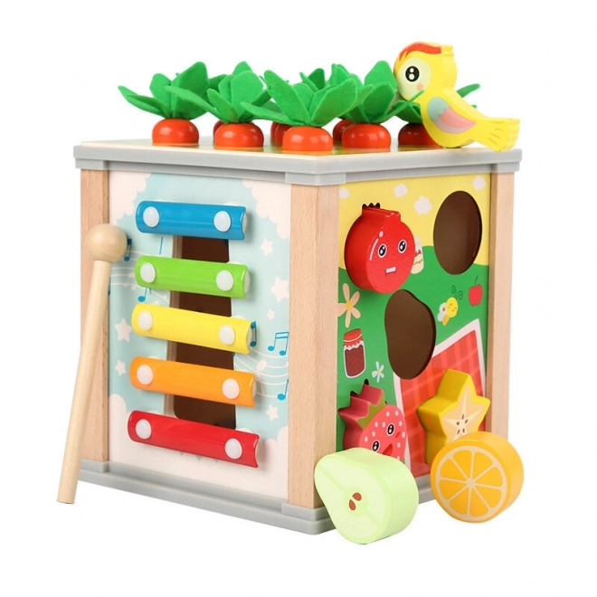 Wooden Educational Cube 5-in-1 Sorter Puzzle