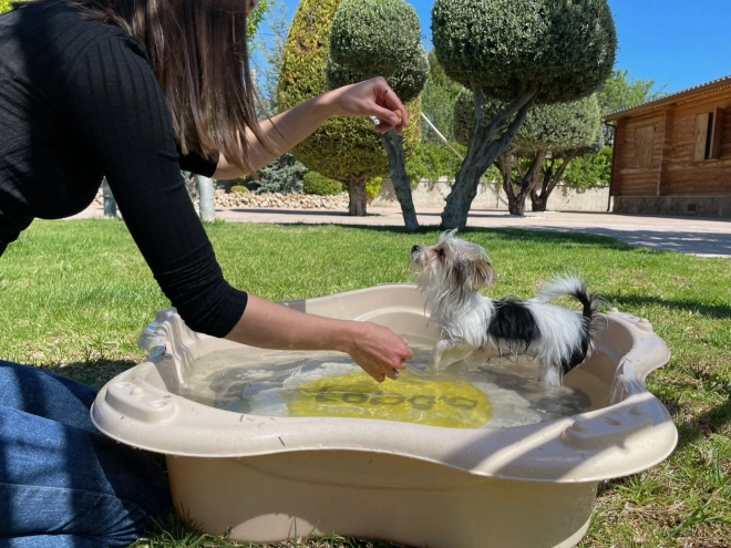 Pet Bathing Pool Classic