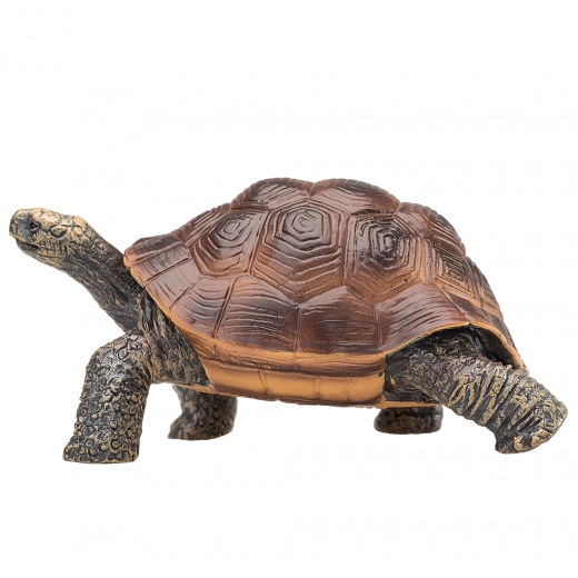 Tartós és biztonságos műanyag