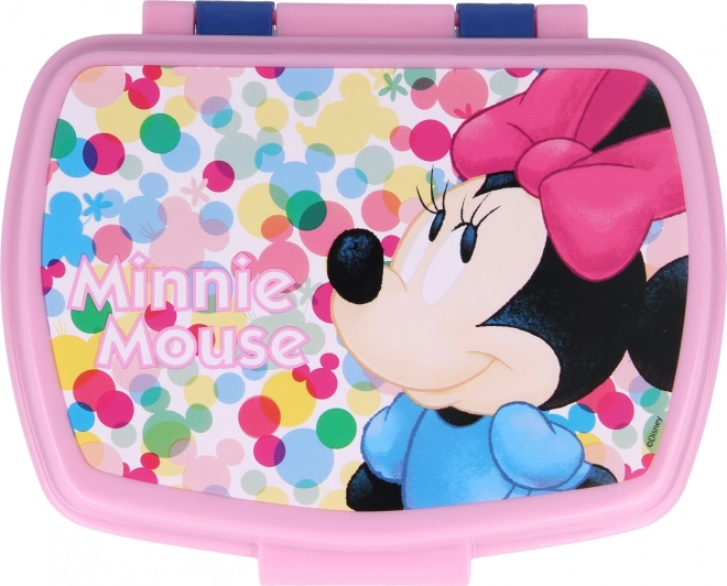 Lunch Box With Minnie Design