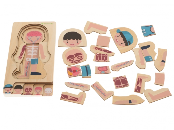 Wooden Layered Human Body Puzzle Montessori Boy