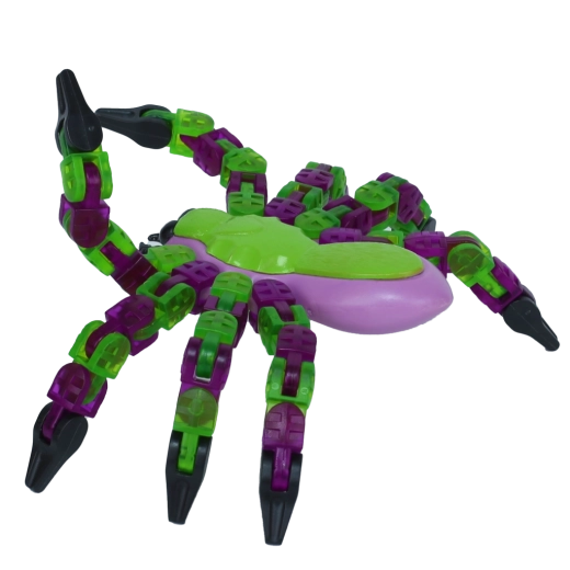 Create photos and animations in Zing Studio