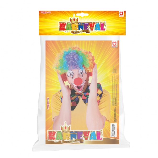 Colorful Clown Wig for Adults