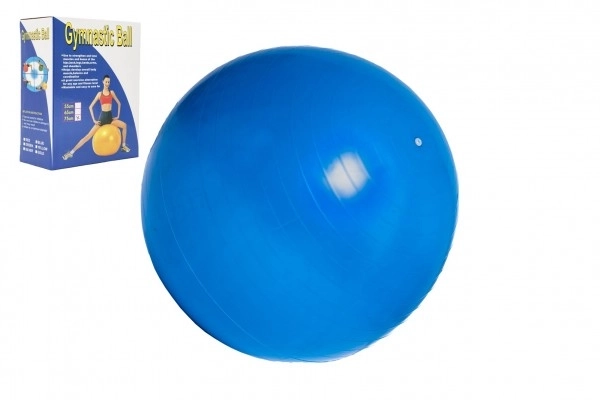 Rehabilitation and Relaxation Gym Ball 75cm