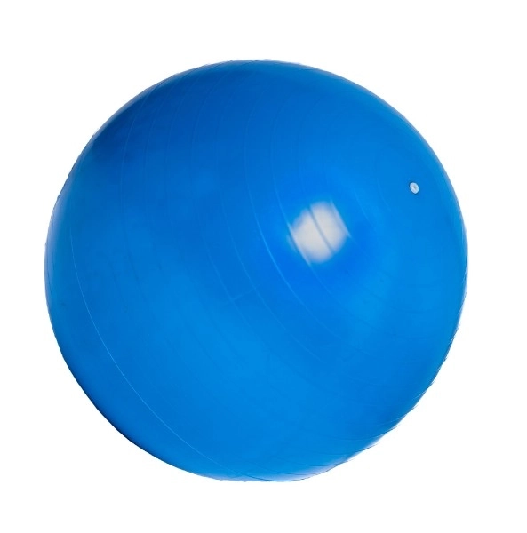 Rehabilitation and Relaxation Gym Ball 75cm