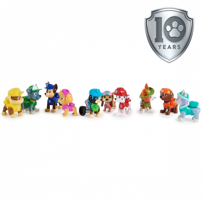 Collection du 10ème anniversaire