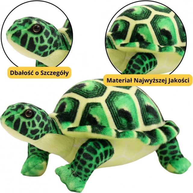 Giocattolo Tartaruga di Peluche Verde 25cm