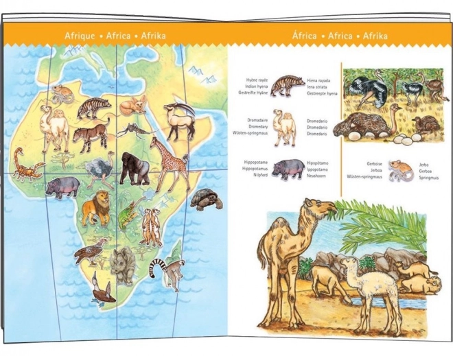 Djeco Observation Puzzle: Animals of the World 100 Pieces