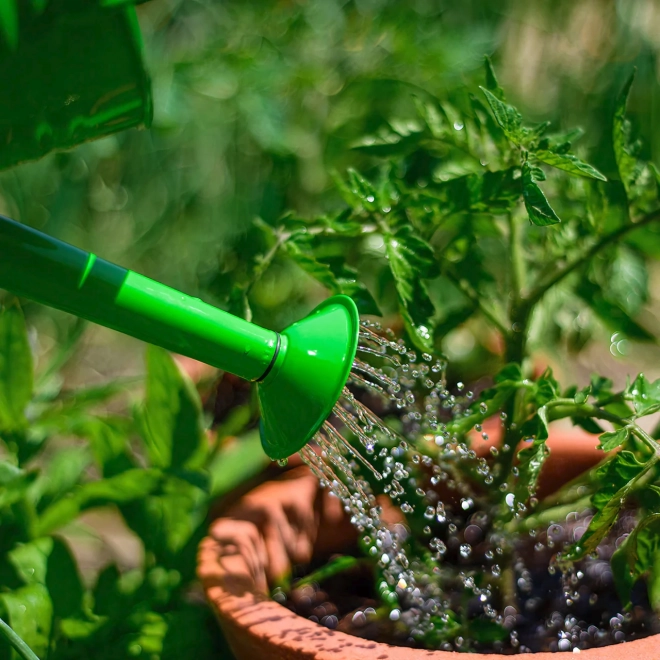 Green Garden Watering Can