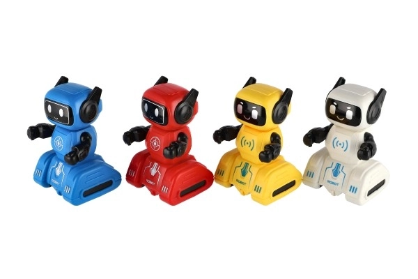 Wind-up Robot Toy