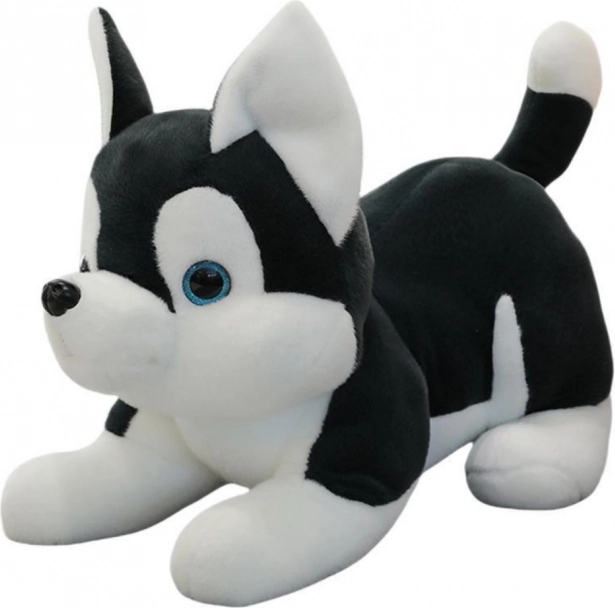 Giocattolo di peluche cane Husky bianco e nero 30cm