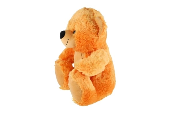 Tomek Brown Teddy Bear 34 Cm