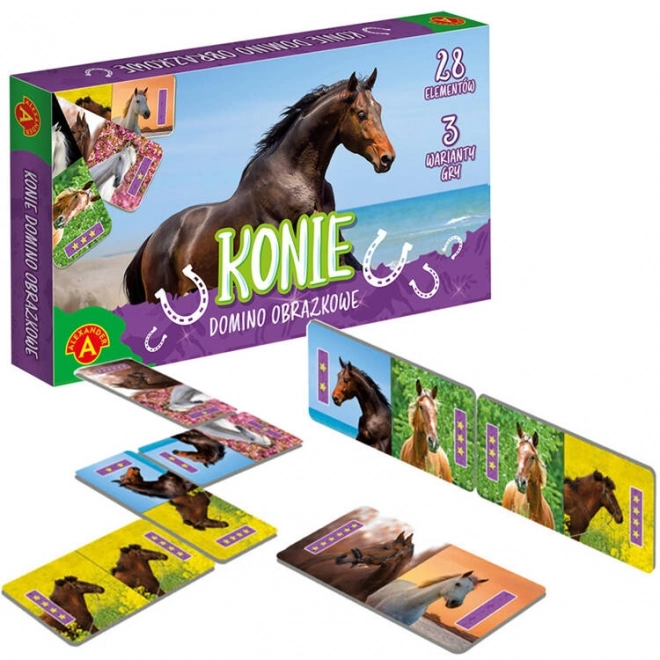 Ilustrowane domino Konie