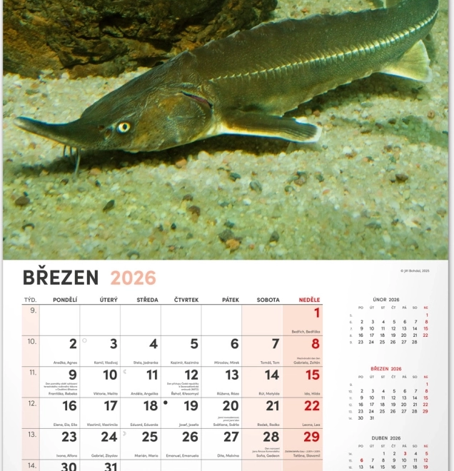 Calendrier mural de pêche 2026