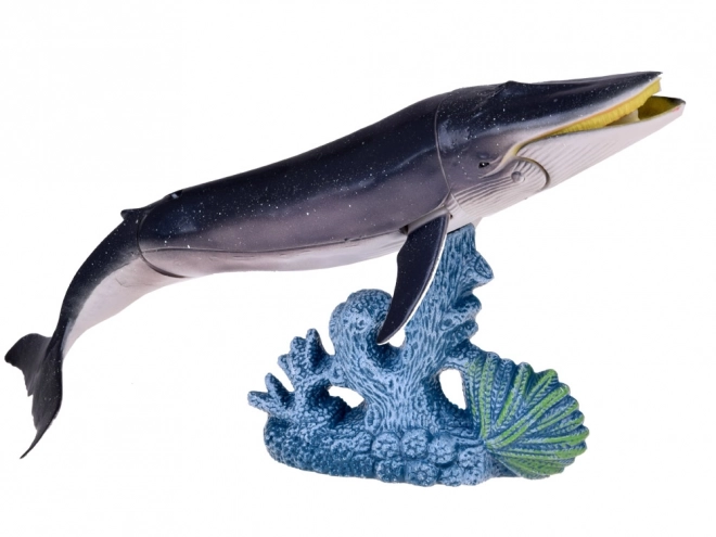 Sea Animal Figurine Set