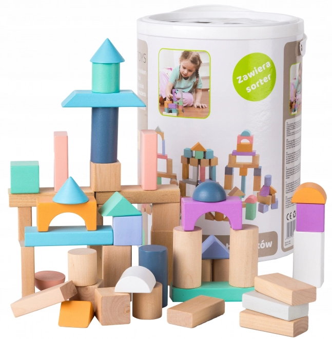 Wooden Blocks Set With Sorter