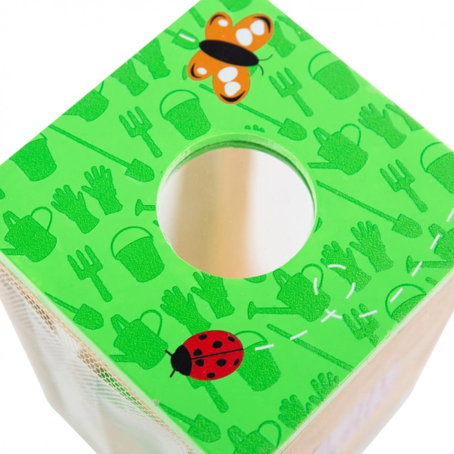 Insect Observation Box by Bigjigs Toys