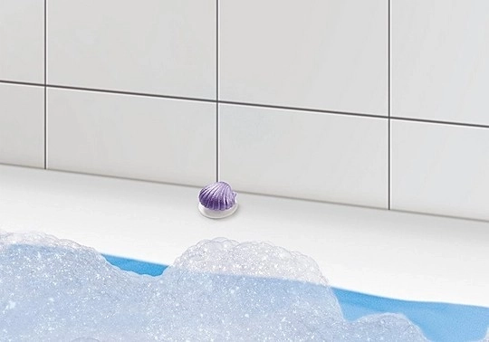 Coquille décorative avec ventouse