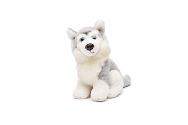 Plush Husky Toy