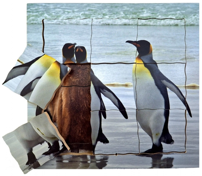 Penguin Life Cycle Wooden Layered Puzzle