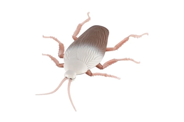 Antistress Cockroach Toy with Plastic/Silicone Body