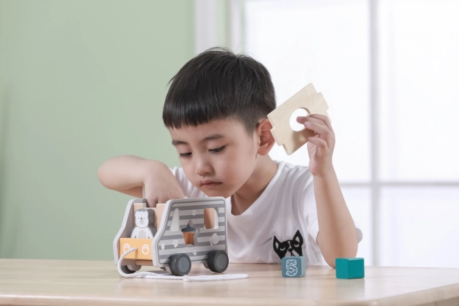 Wooden Pull Along and Shape Sorter Truck