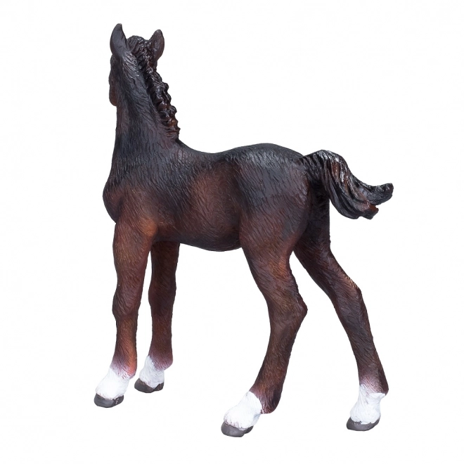 Mojo Hanoverian Foal Brown