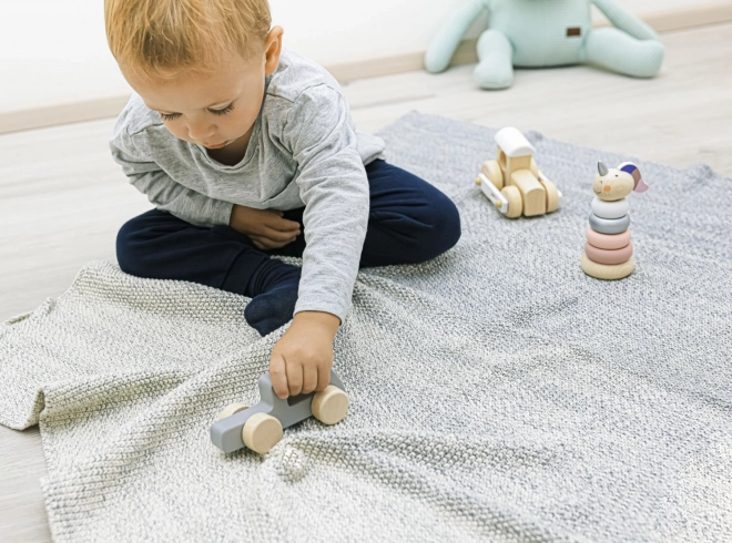 Wooden Rolling Elephant Toy