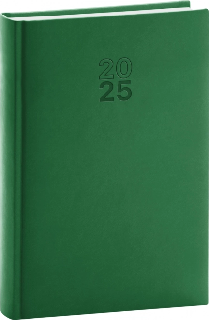 Notique Daily Diary Green 2025