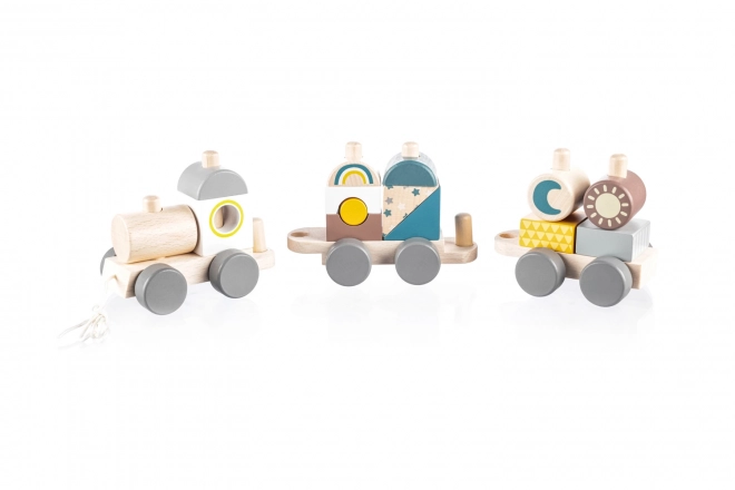 Wooden Train Toy for Kids