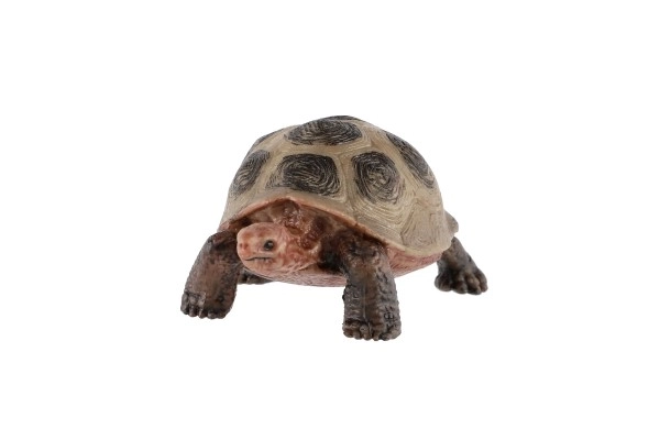 Large Seychelles Land Tortoise Toy, 8cm