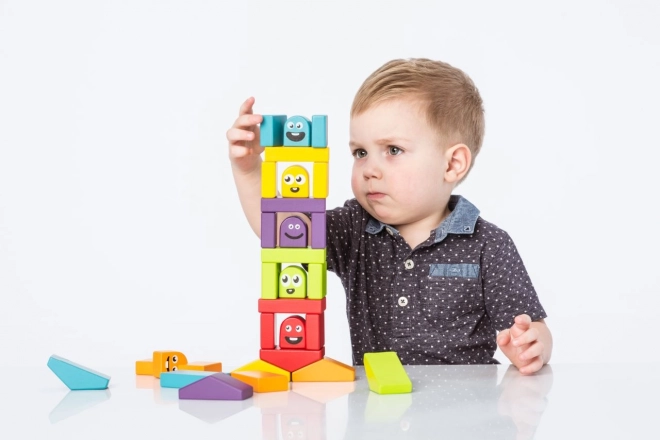 Colorful Houses Wooden Building Set