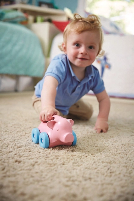 Eco-Friendly Green Toys Piglet