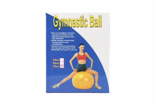 Rehabilitation and Relaxation Gym Ball 75cm